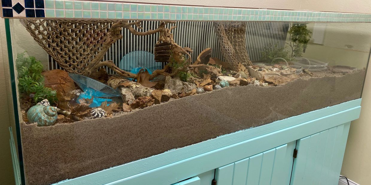 5 gallon top hermit crab tank